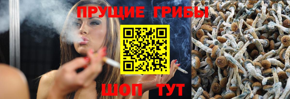 Ефремов  купить наркотики цена  Вход с VPN  Галлюциногенные грибы Magic Shrooms 